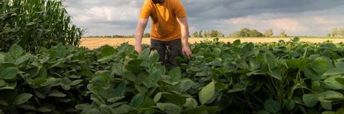 A farmworker in a farm field with dark clouds behind him