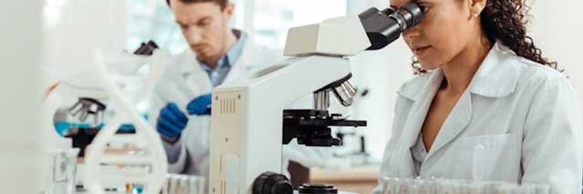 A female scientist standing at a lab table looking into a microscope