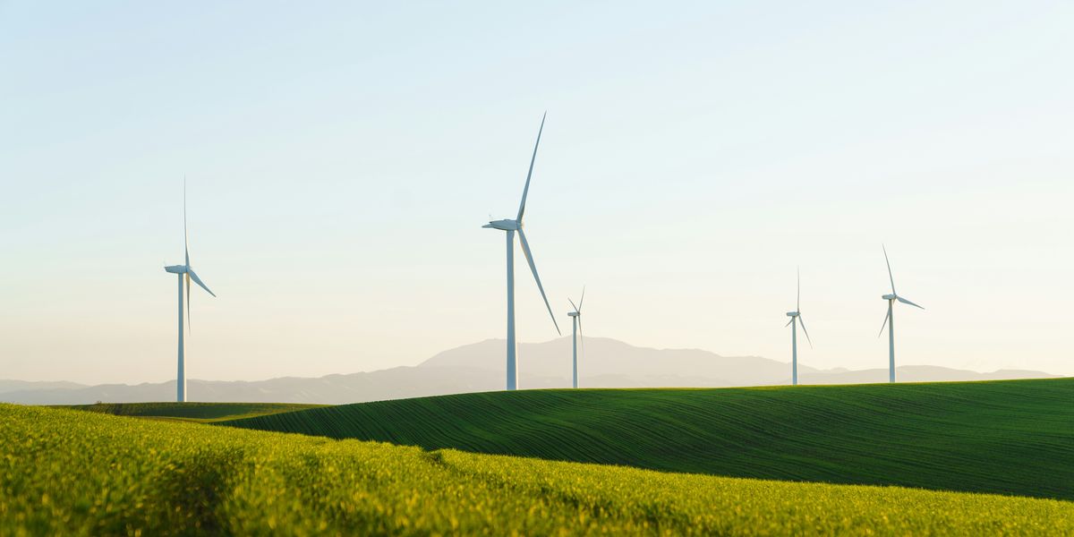 a field of green grass with wind turbines in the background.