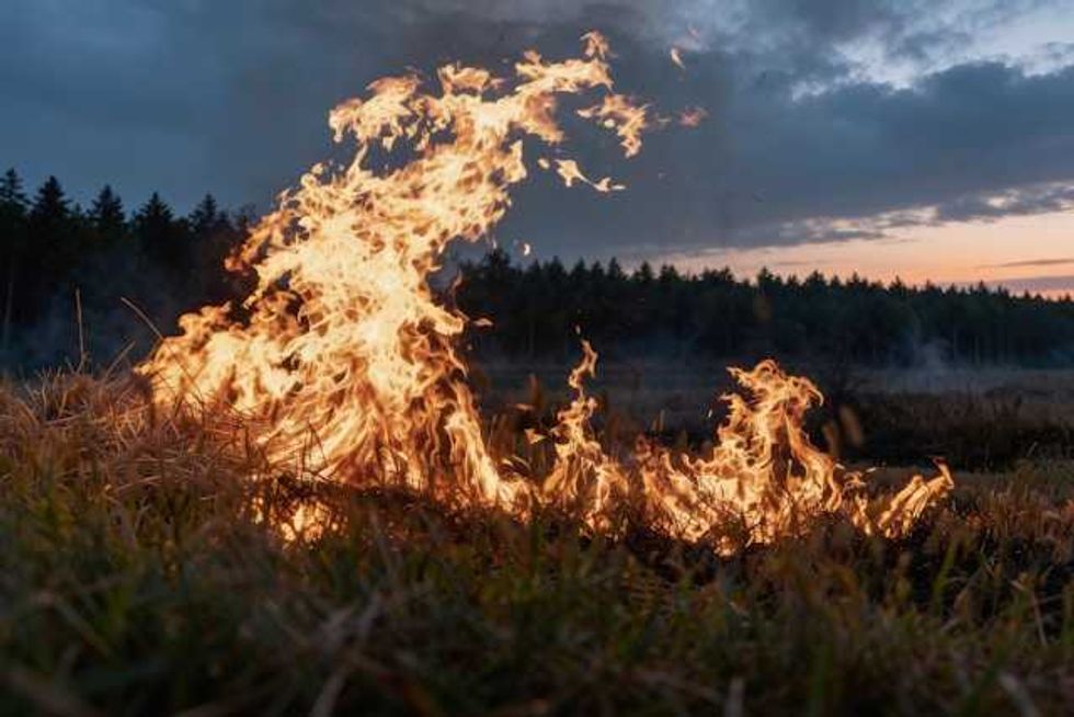 When Forests Burn, Lakes Suffer