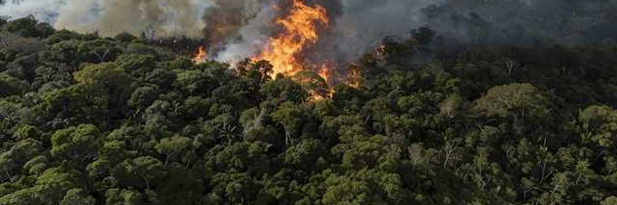 A fire raging in the Amazon forest