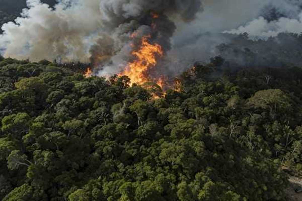 A fire raging in the Amazon forest