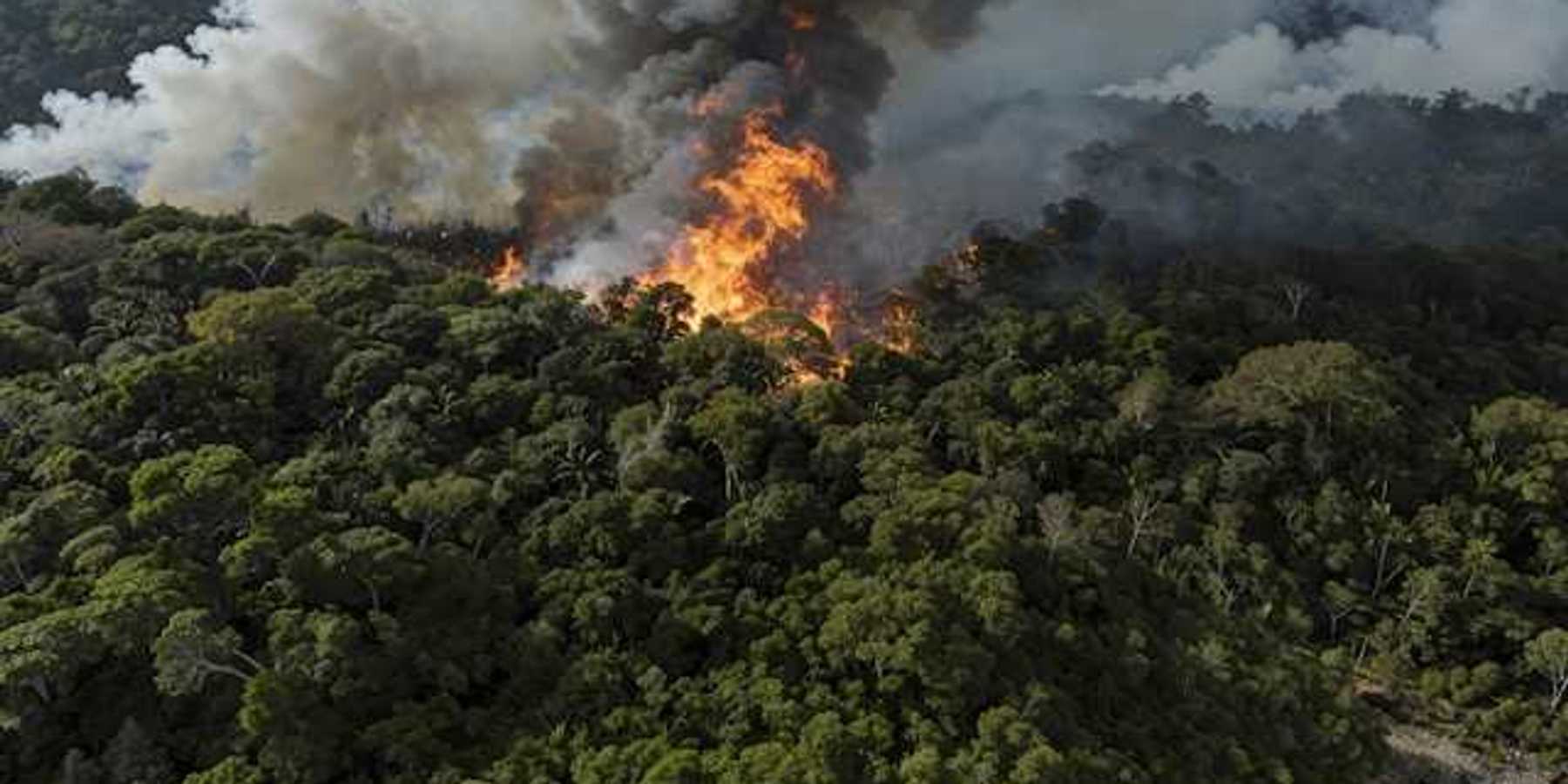 A fire raging in the Amazon forest