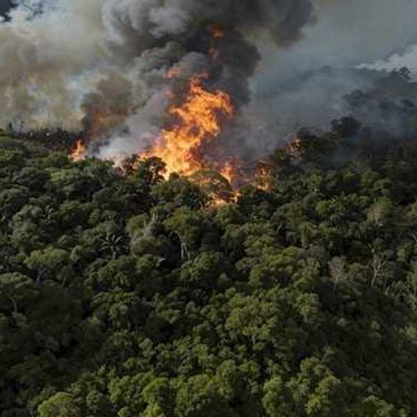 A fire raging in the Amazon forest