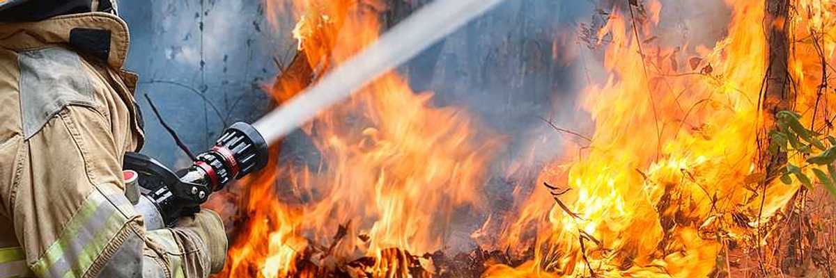 A firefighter training a water hose on a wildfire