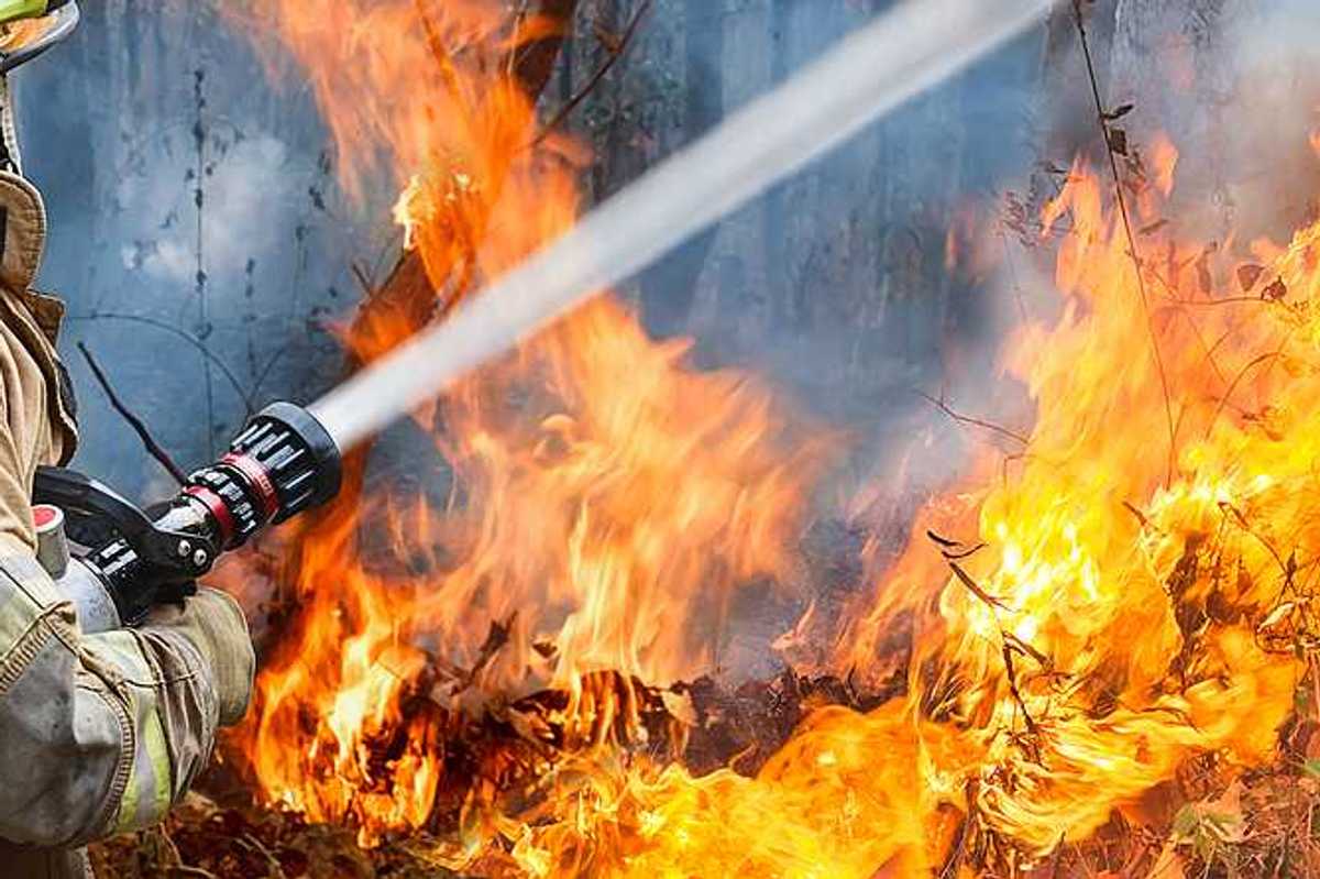 A firefighter training a water hose on a wildfire