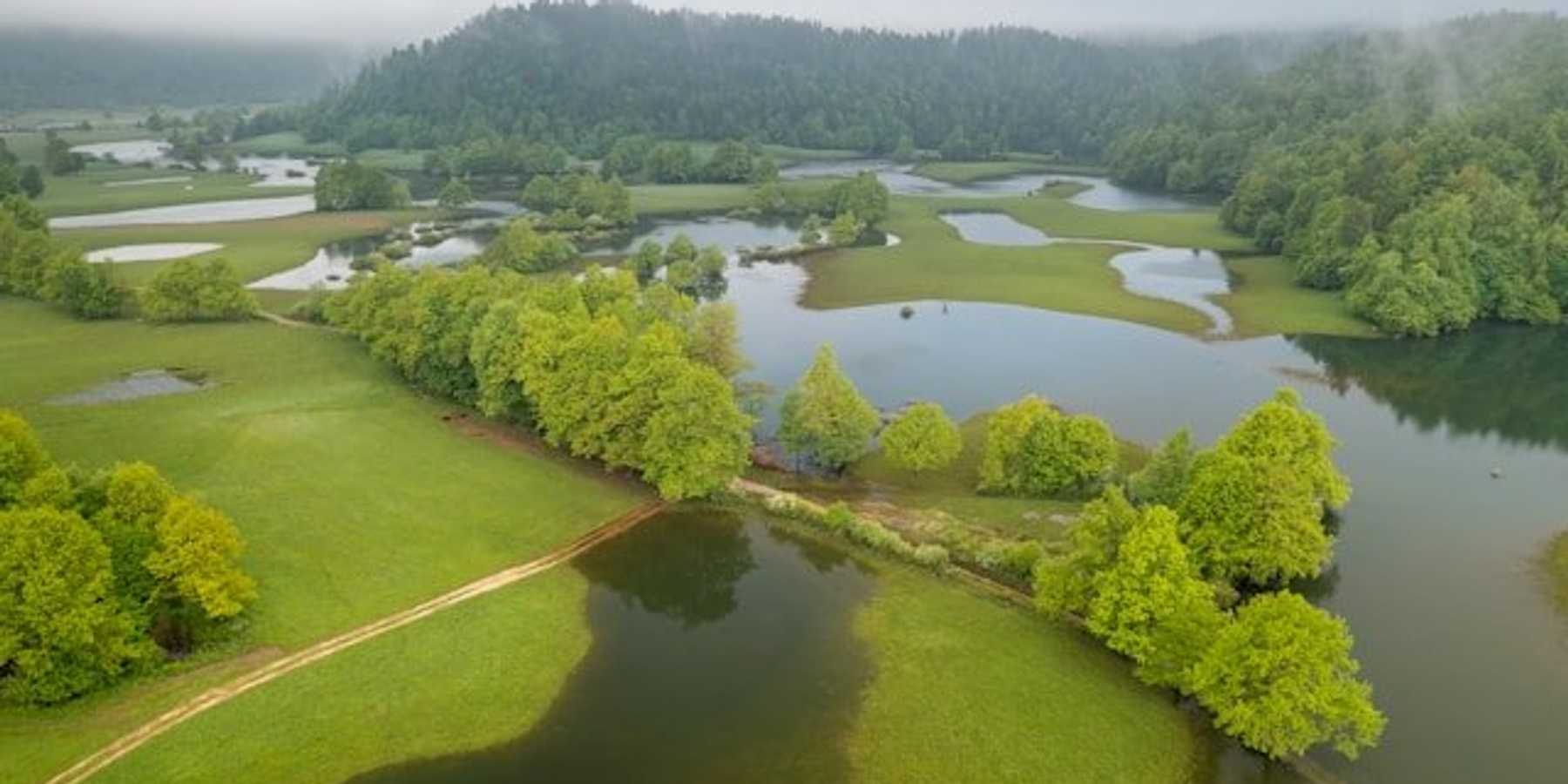 A flooded field with green forested hills in the background.