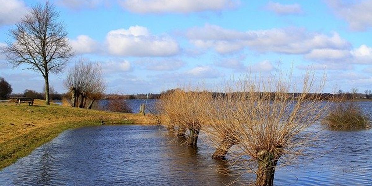 A flooded park alongside a river with submerged trees.