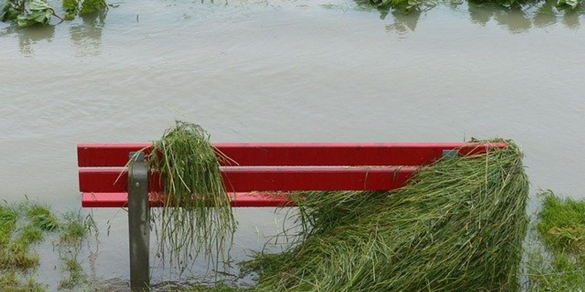 A flooded park bench covered in green grasses.