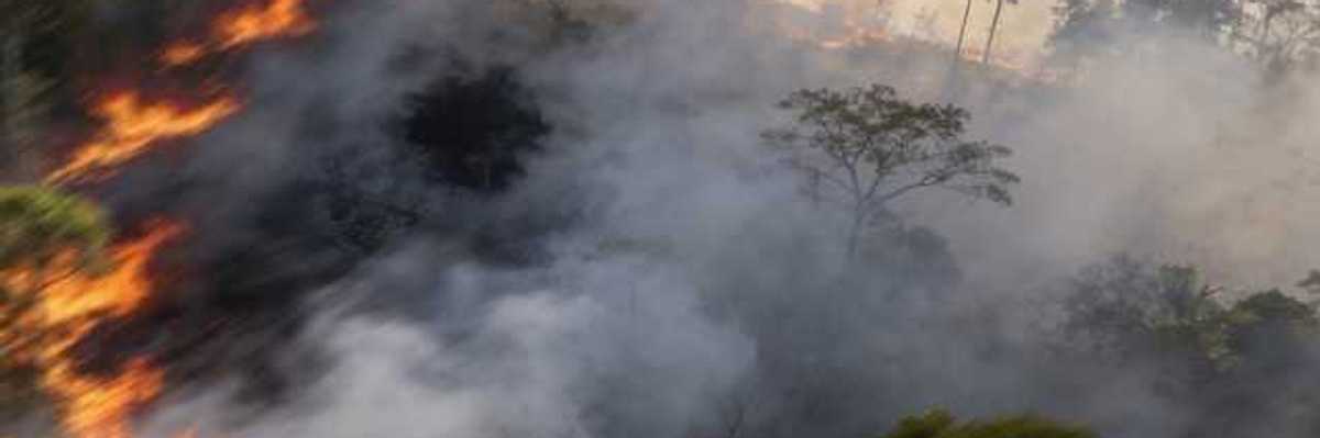 A forest fire with dark wildfire smoke reaching into the air