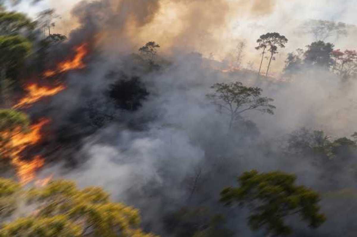 A forest fire with dark wildfire smoke reaching into the air