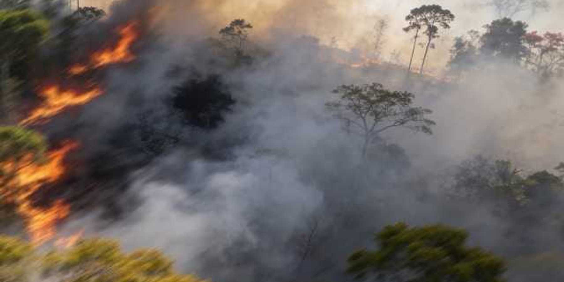 A forest fire with dark wildfire smoke reaching into the air