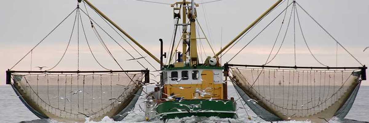 A green and yellow commercial trawler with two nets.
