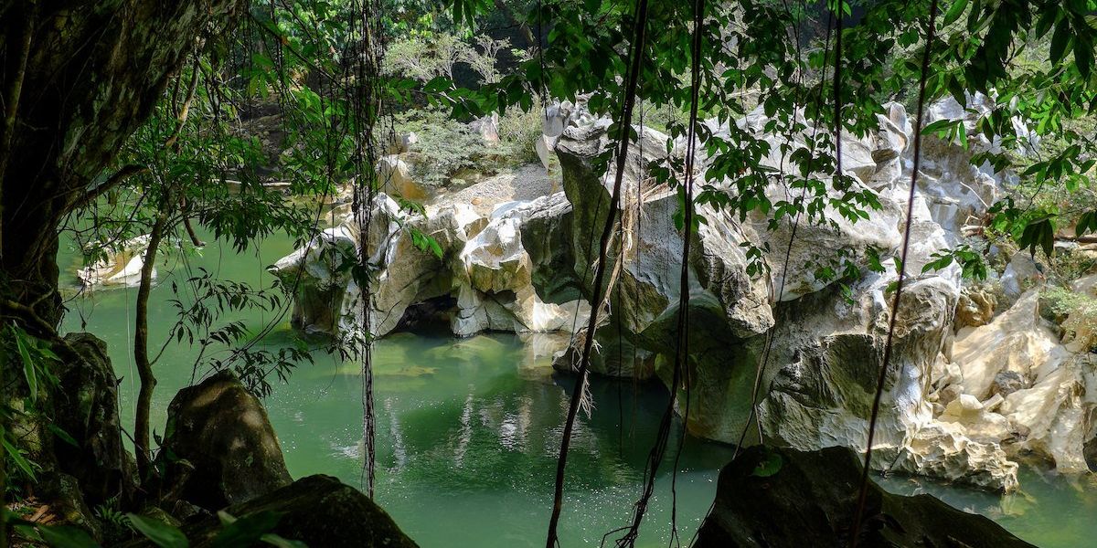 A green pool with large rocky sides within a rainforest of trees and hanging vines.