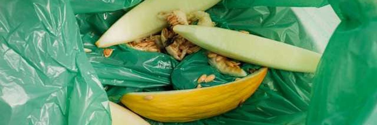 A green trash bag holding remains of a melon