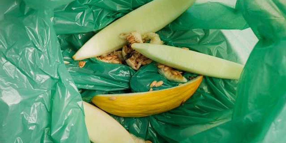 A green trash bag holding remains of a melon