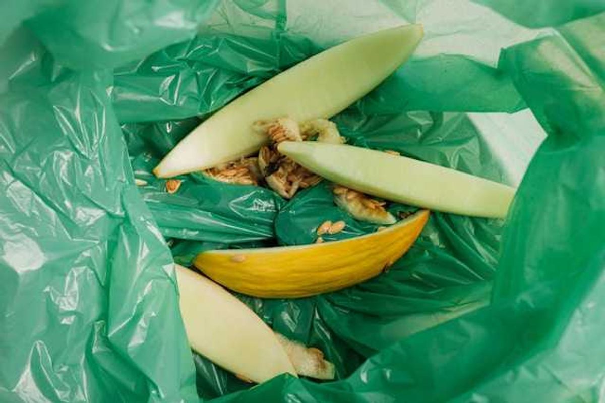 A green trash bag holding remains of a melon