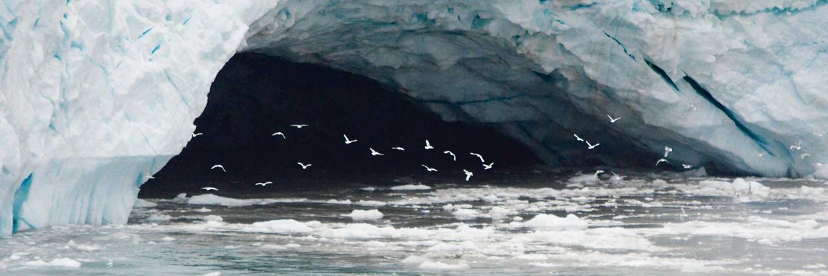 a group of birds flying under a large cracked iceberg