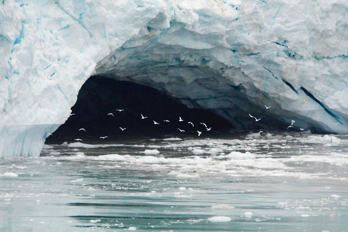a group of birds flying under a large cracked iceberg