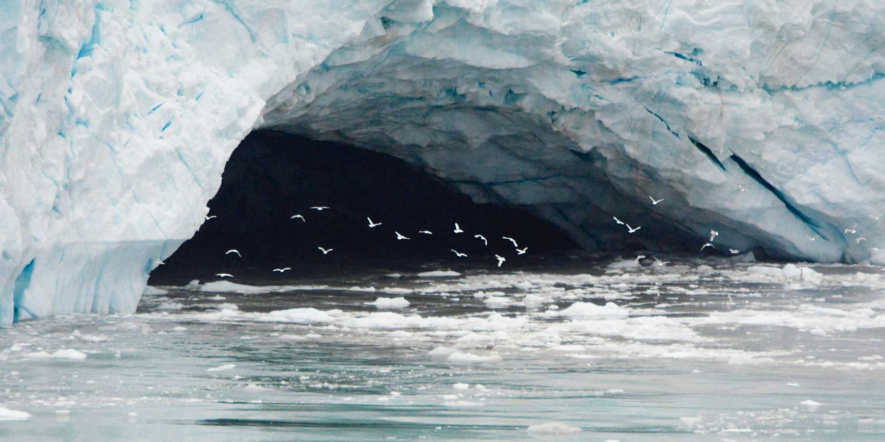 a group of birds flying under a large cracked iceberg