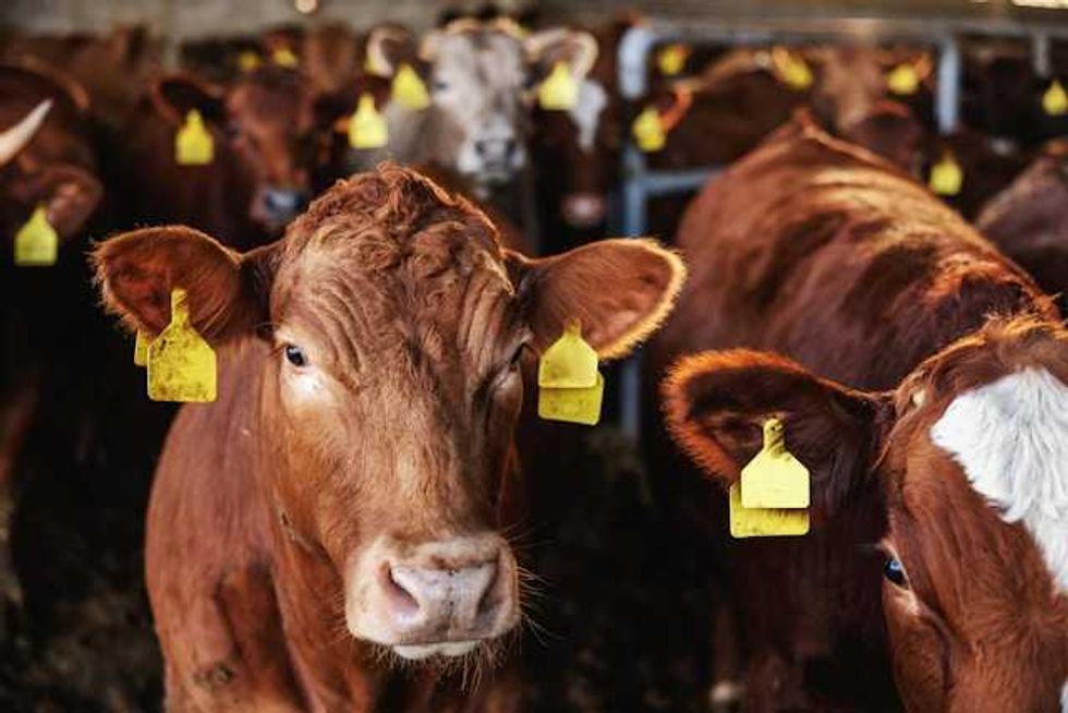 Northern Ontario farmers are benefitting from climate change