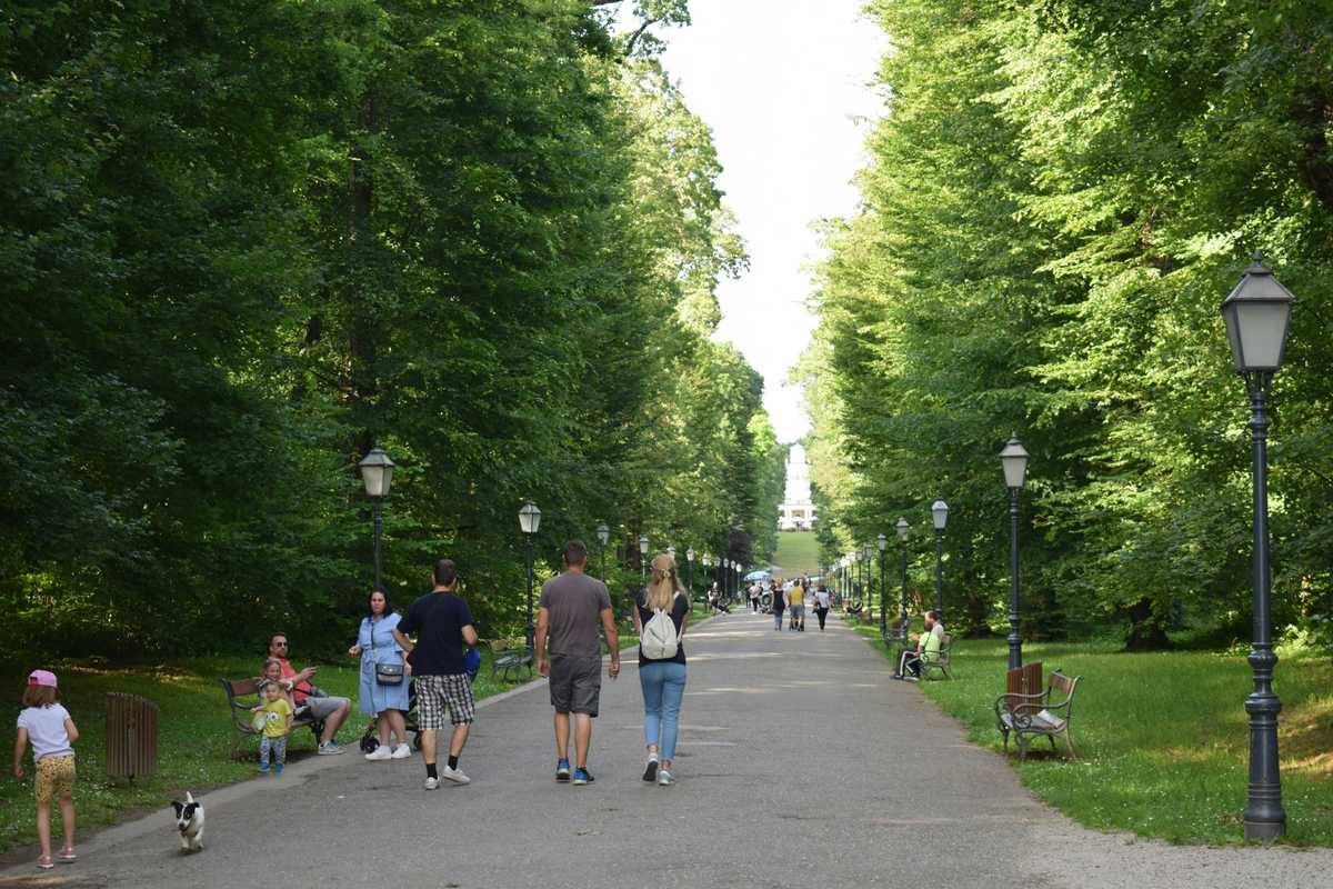 a group of people walking down a tree lined path in a park