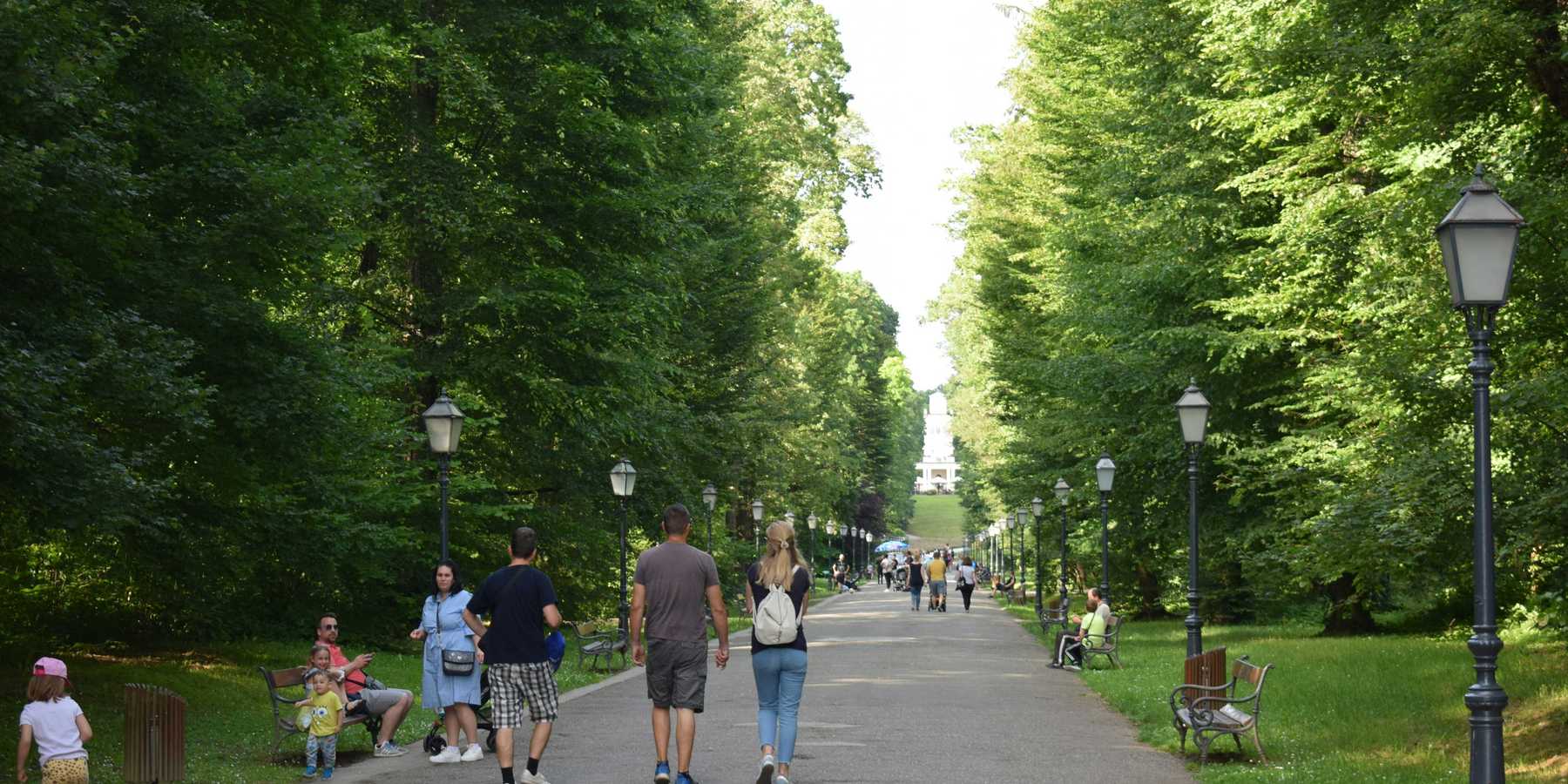 a group of people walking down a tree lined path in a park