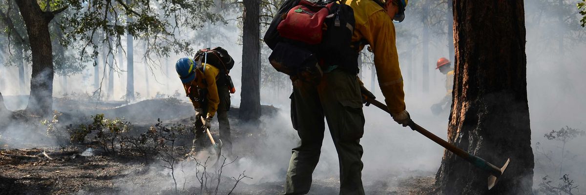 A group of people with backpacks and shovels engaging in a controlled burn in the woods