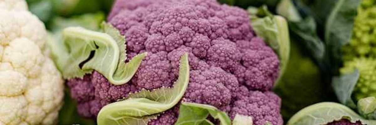 A group of white and purple cauliflower