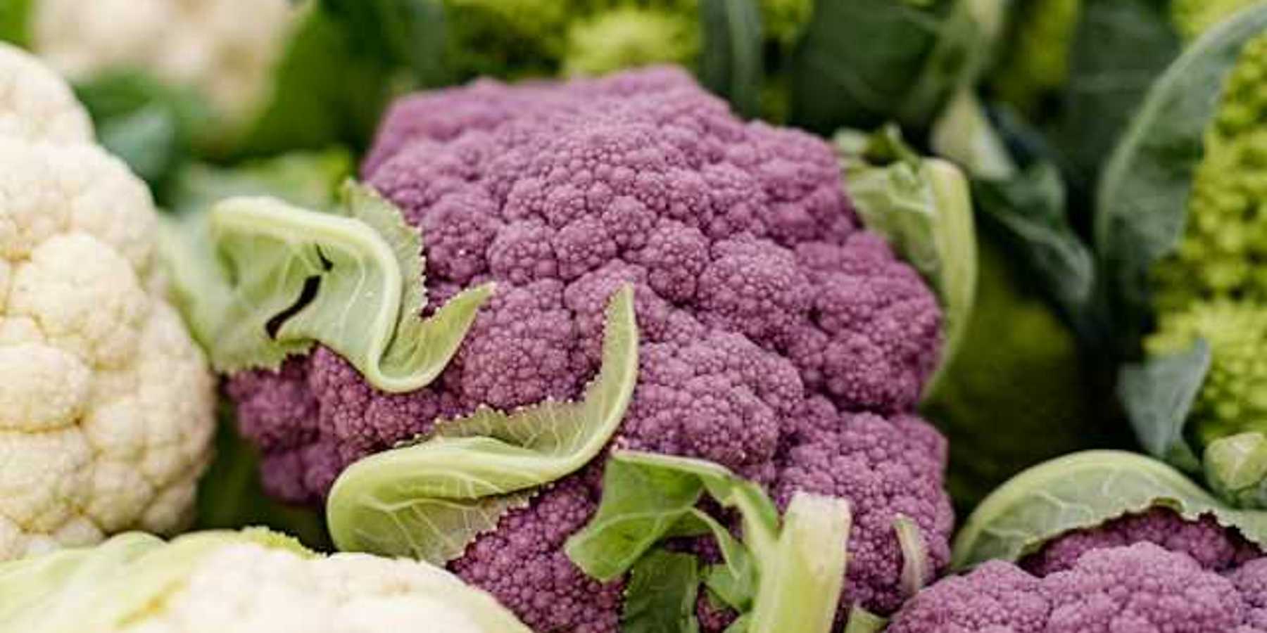 A group of white and purple cauliflower