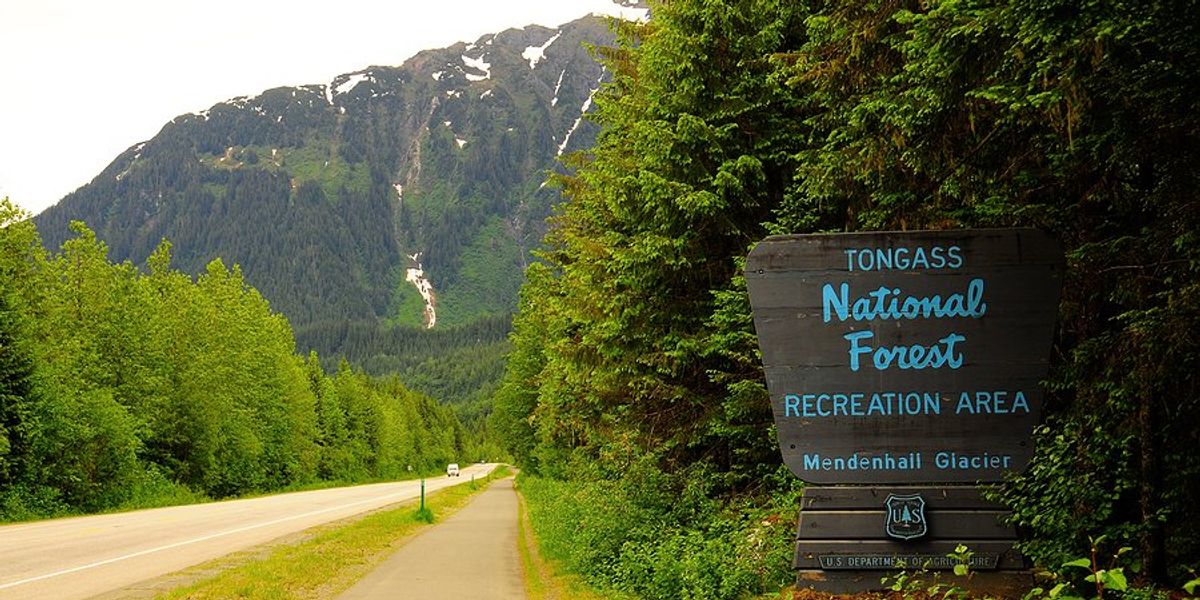 A highway entering the Tongass National Forest with mountains and trees in the background.