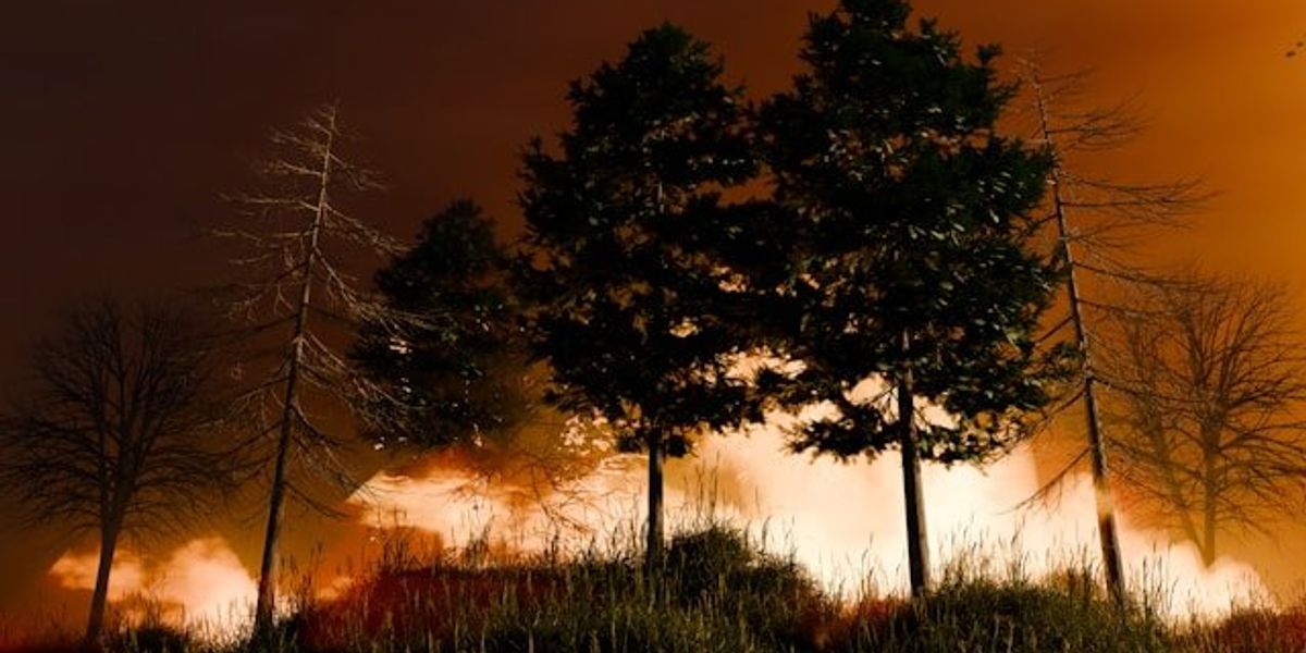 A hillside and forest with an approaching wildfire.