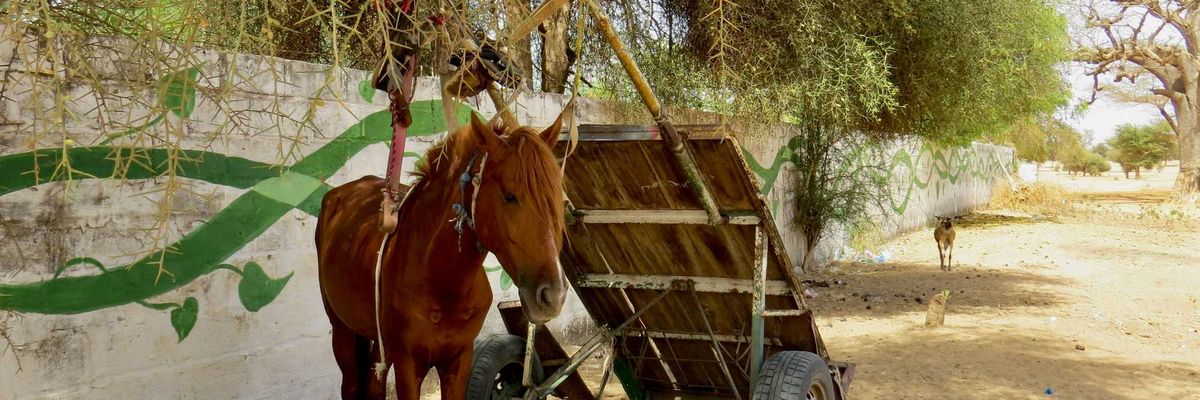 a horse pulling a cart.