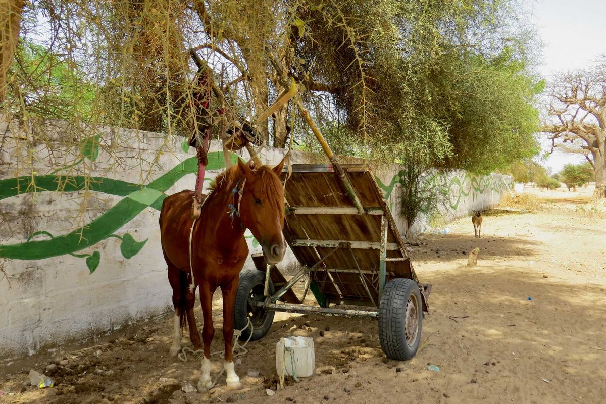 a horse pulling a cart.