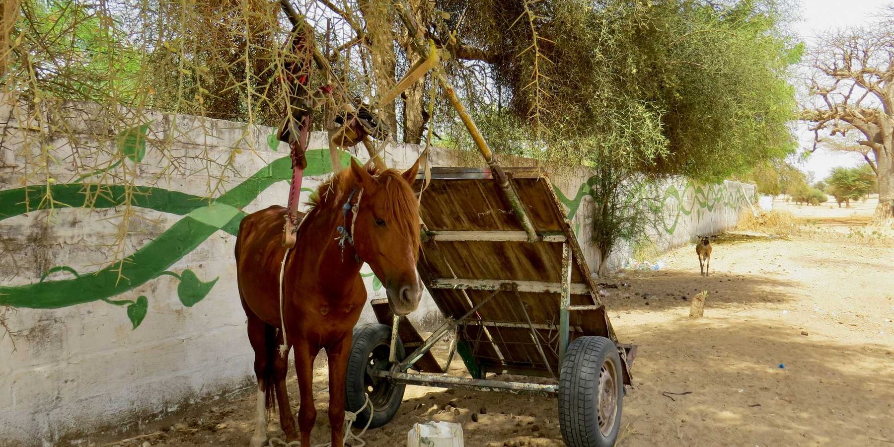 a horse pulling a cart.