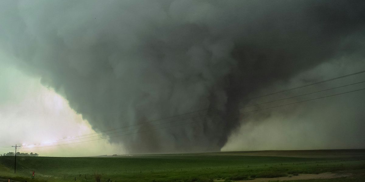 A huge tornado touches down on the horizon of a green plain.