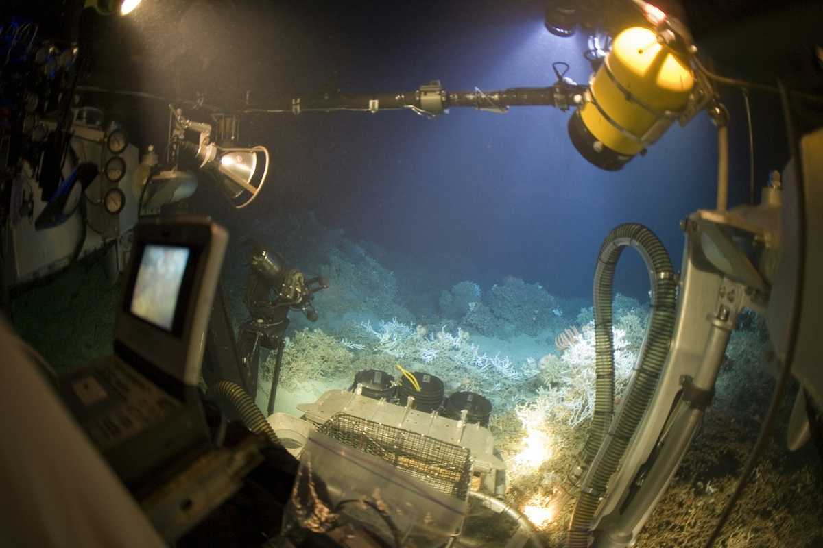 A JSL submersible offers a panoramic view of the underwater world.