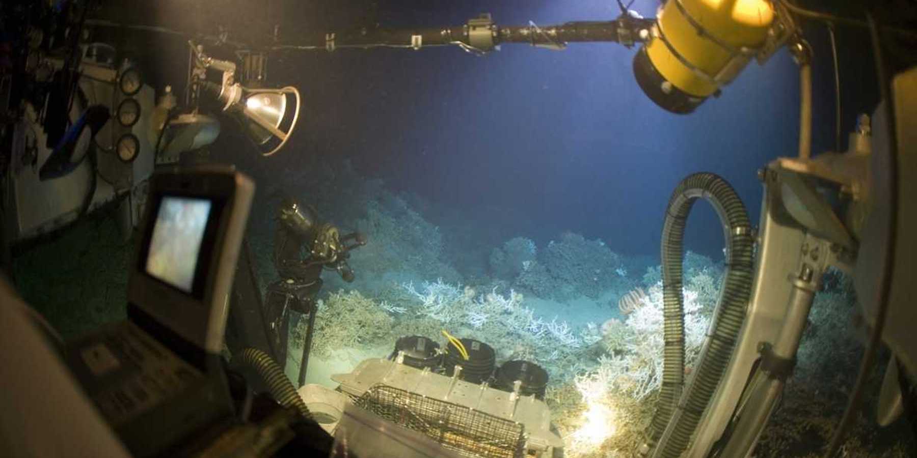 A JSL submersible offers a panoramic view of the underwater world.