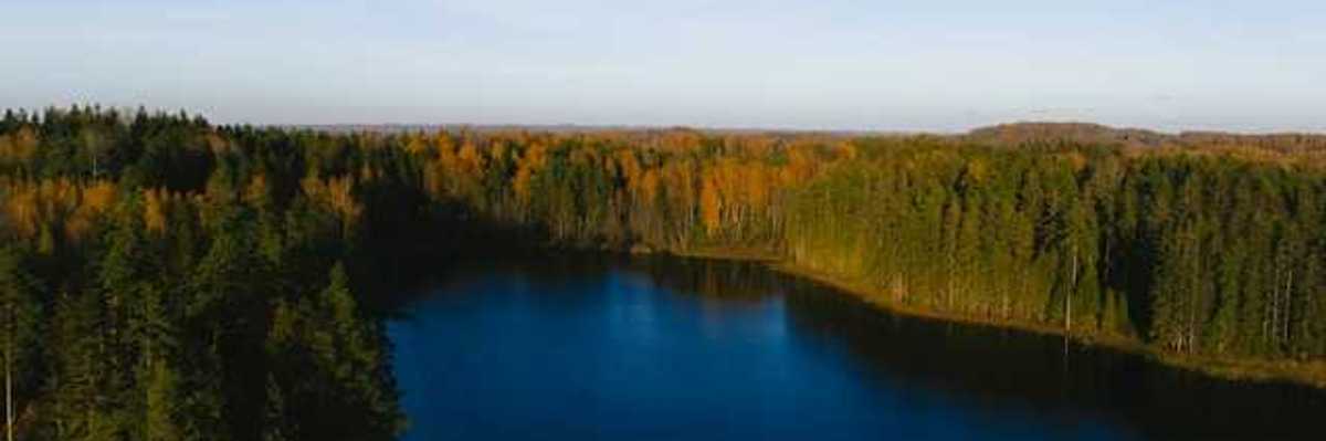 A lake surrounded by thick forests