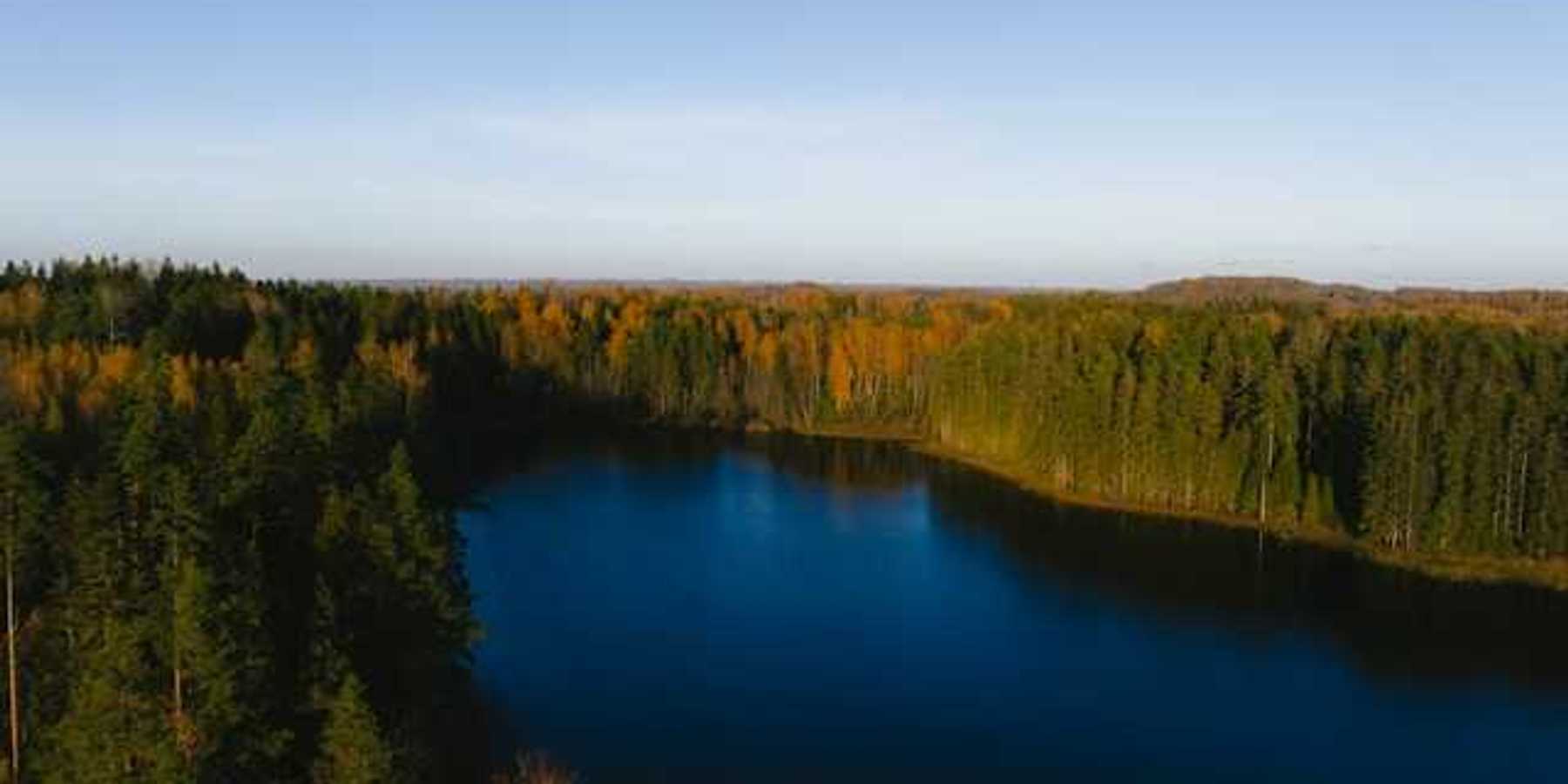 A lake surrounded by thick forests