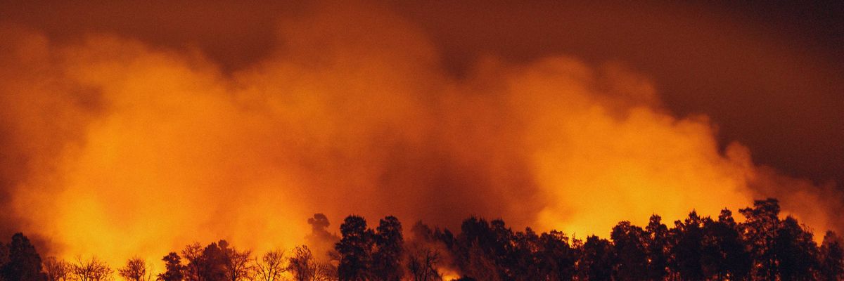 a large fire burning in a field next to a forest