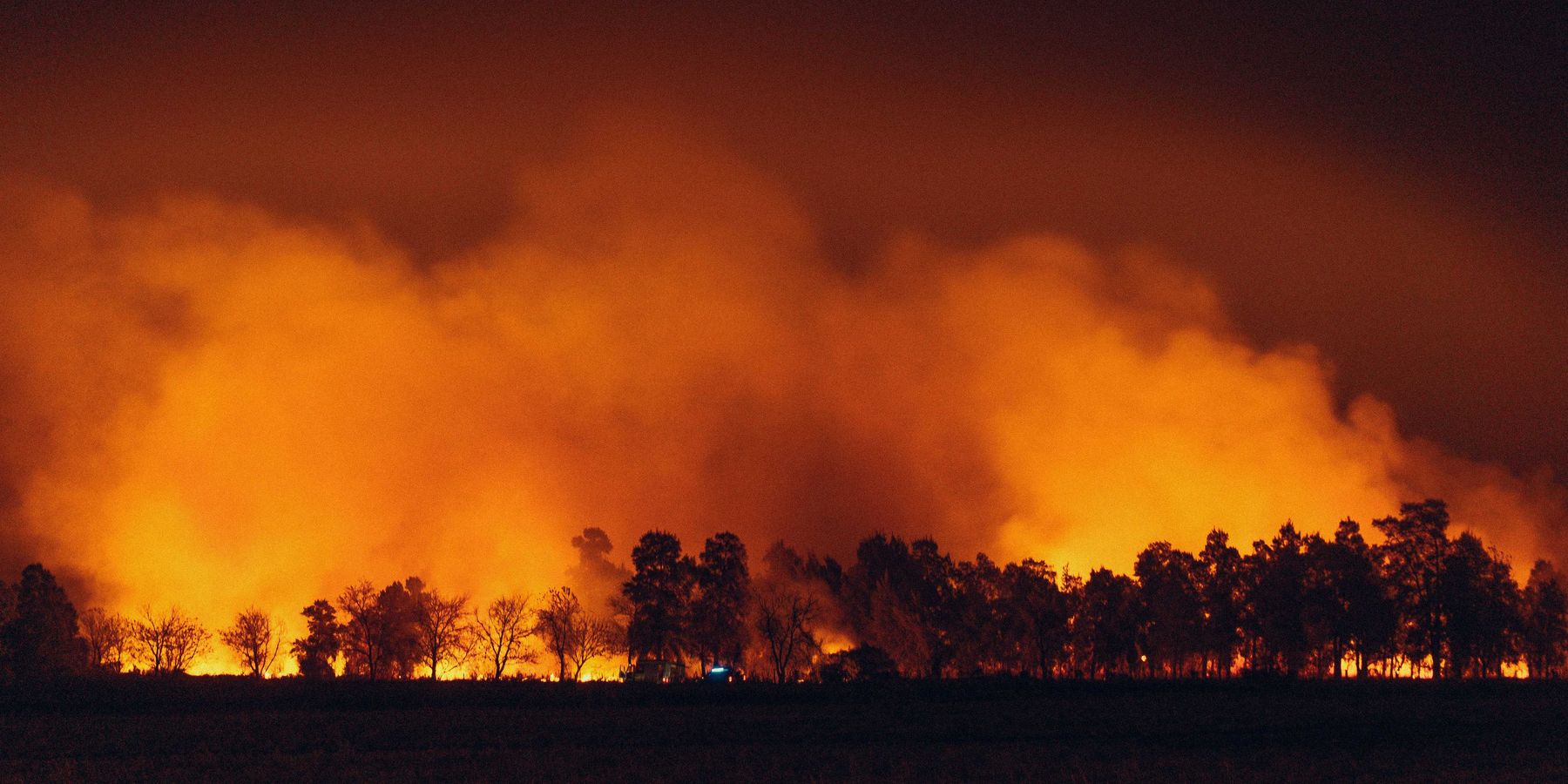 a large fire burning in a field next to a forest