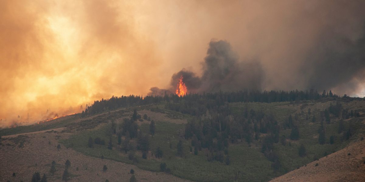 A large plume of smoke and fire rising from a forest on a hillside.