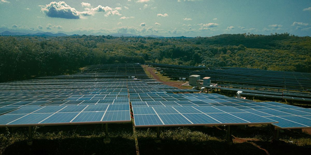 a large solar farm with many rows of solar panels.