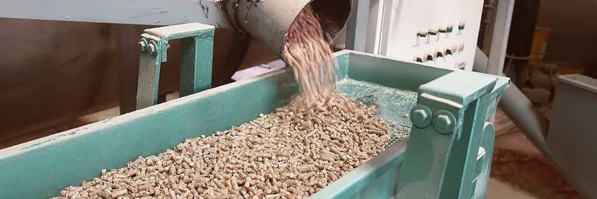 A machine dropping wood pellets into a green metal trough