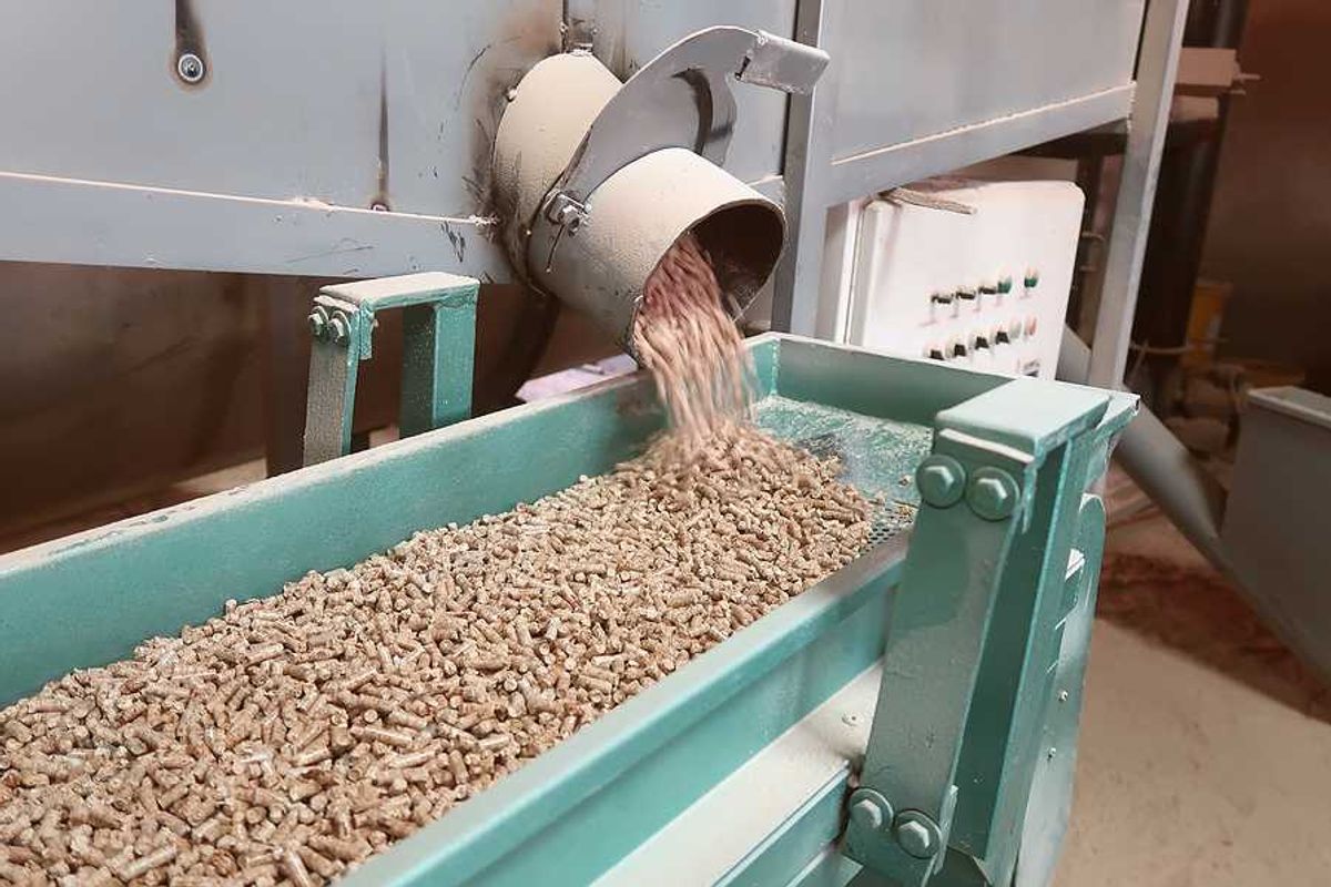 A machine dropping wood pellets into a green metal trough