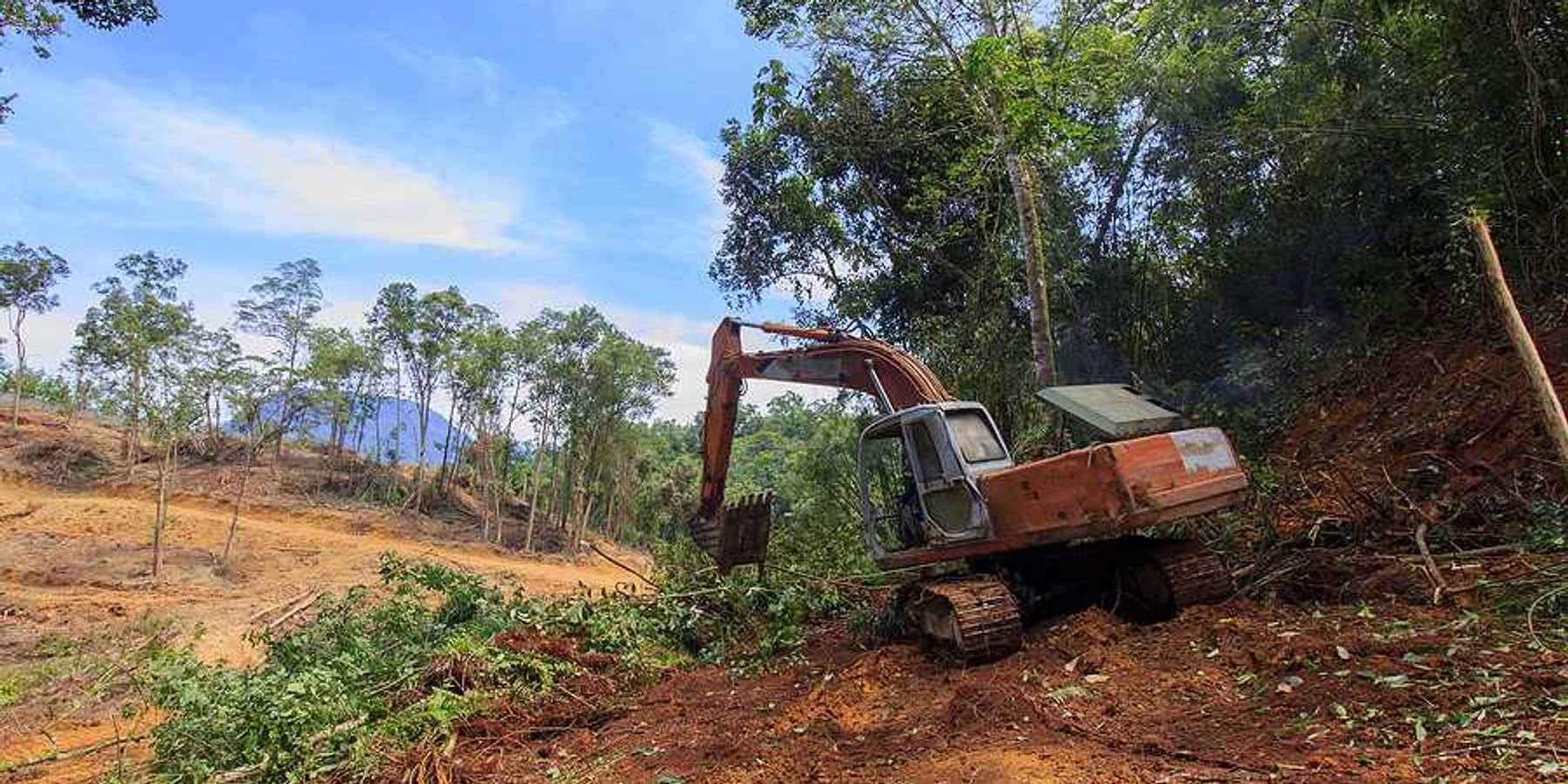 A machine moving dirt and tearing down trees in a forest