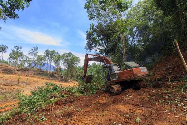 A machine moving dirt and tearing down trees in a forest