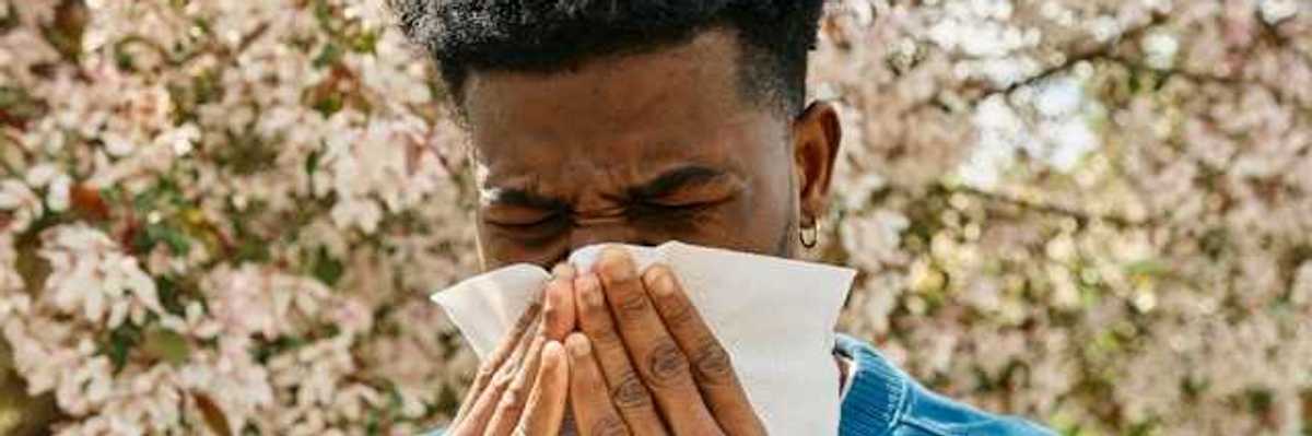 A man in front of a flowering tree blowing his nose