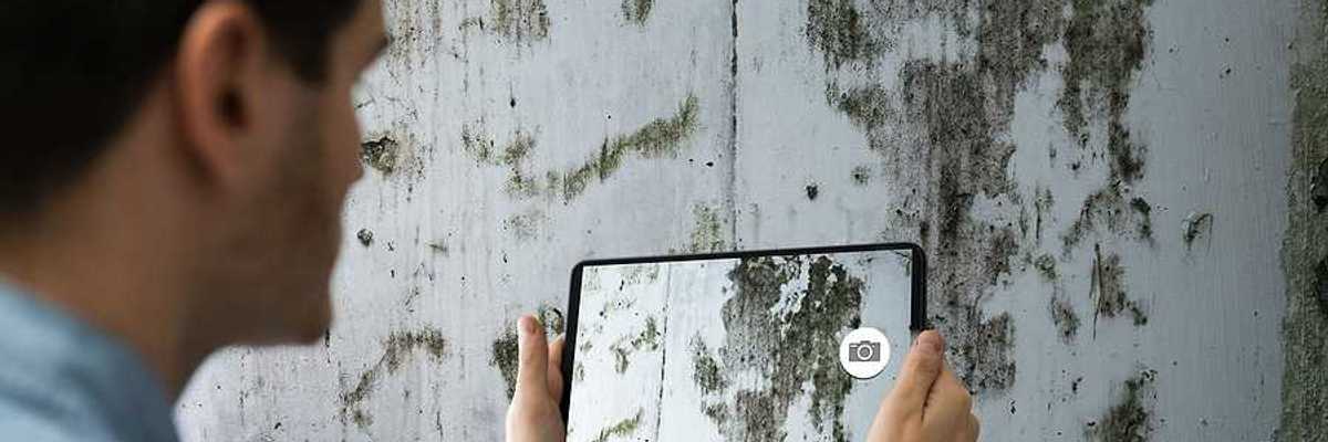 A man taking a photo of a wall covered in mold
